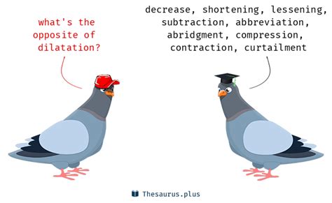 antonym of dilation.